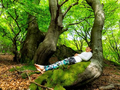 Frau auf einer Baumwurzel beim Waldbaden im Frühlingswald