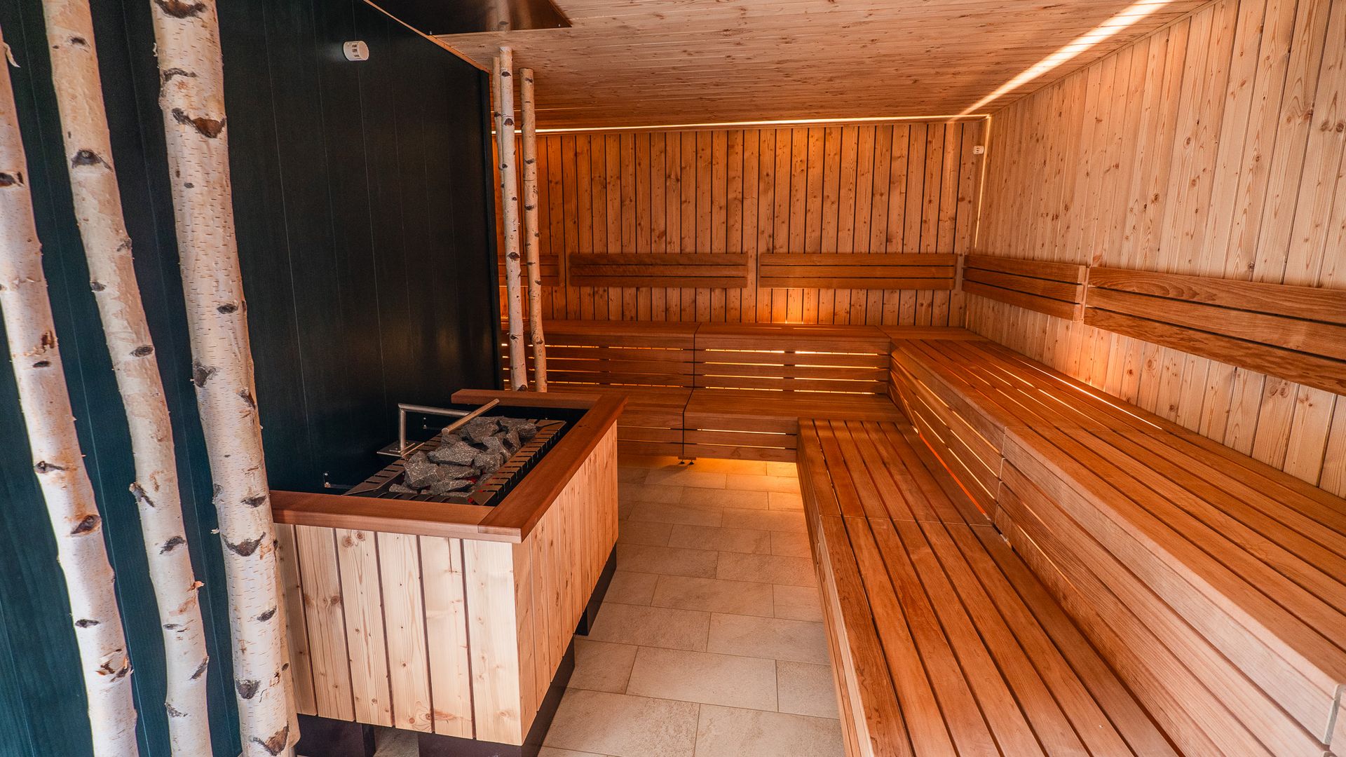 Birkensauna mit beleuchteter Saunabank, Birkenstämmen und Saunaofen.